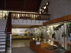 Múzeum TANAPu Tatranská Lomnica